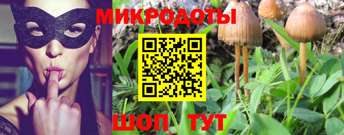 Усть-Илимск  Галлюциногенные грибы Psilocybine cubensis  Псилоцибиновые грибы Psilocybine cubensis  наркотики  Вход с VPN 